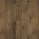 Линолеум «Парадокс Дуб Европейский» 32 класс, 3.5 м