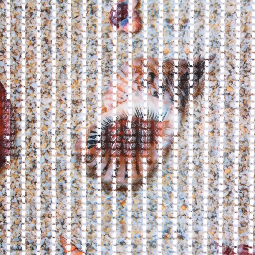 Дорожка ковровая «Фото» FV4 ПВХ 1,3 м