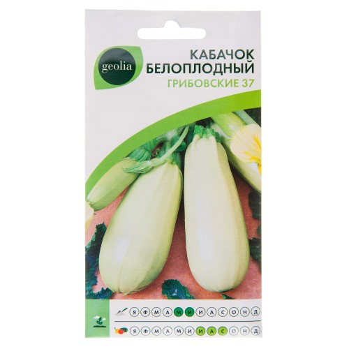 Кабачок белоплодный Geolia «Грибовский» 37