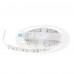 Светодиодная лента 14.4 Вт/120LED/м свет холодный белый IP23 Светодиодная лента 14.4 Вт/120LED/м свет холодный белый IP23