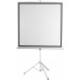 Экран 130x172см Digis Kontur-D 