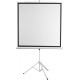 Экран Digis Kontur-D DSKD-4304, 240х180 см, 4:3, напольный
