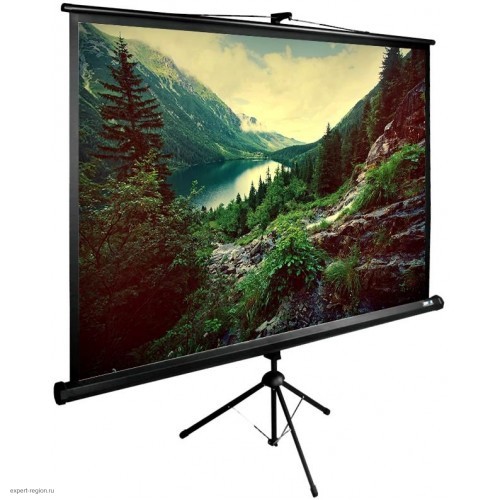 Экран напольный Cactus TriExpert 220x220см (CS-PSTE-220Х220-BK)