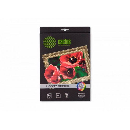 Холст Cactus CS-CA426010 A4/300г/м2/10л. для струйной печати