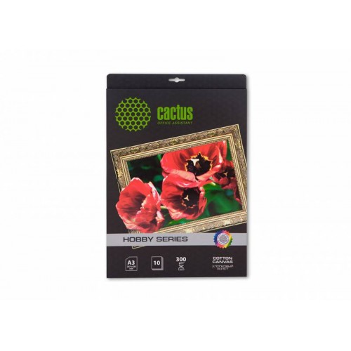 Холст Cactus CS-CA326010 A3/300г/м2/10л./белый для струйной печати