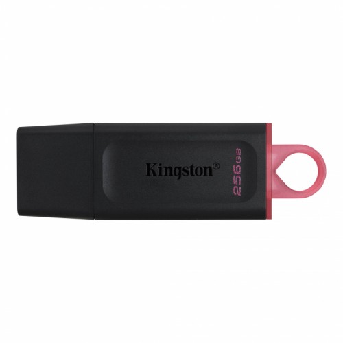 Флеш Диск Kingston 256Gb DataTraveler Exodia DTX/256GB USB 3.1 черный/красный