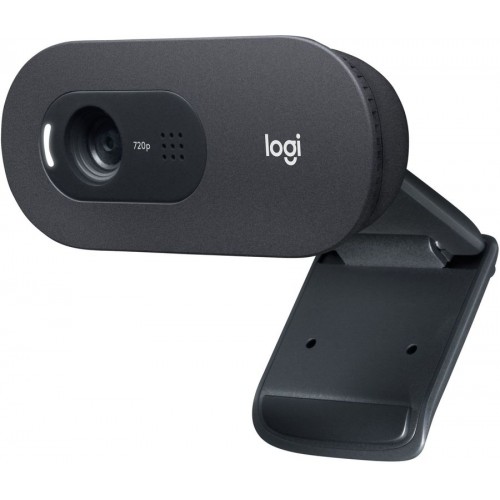 Камера Web Logitech WebCam C505e черный 2Mpix USB2.0 с микрофоном для ноутбука