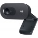 Камера Web Logitech WebCam C505e черный 2Mpix USB2.0 с микрофоном для ноутбука