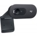Камера Web Logitech WebCam C505e черный 2Mpix USB2.0 с микрофоном для ноутбука