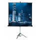 Экран на треноге Lumien 127x127см Master View LMV-100101 1:1 напольный рулонный