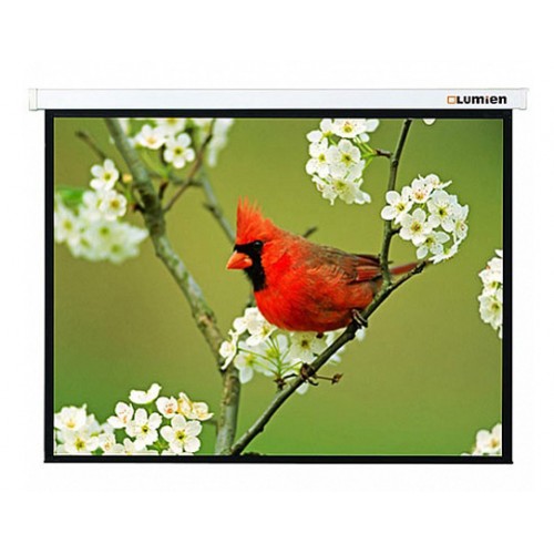Экран Lumien Master Picture 